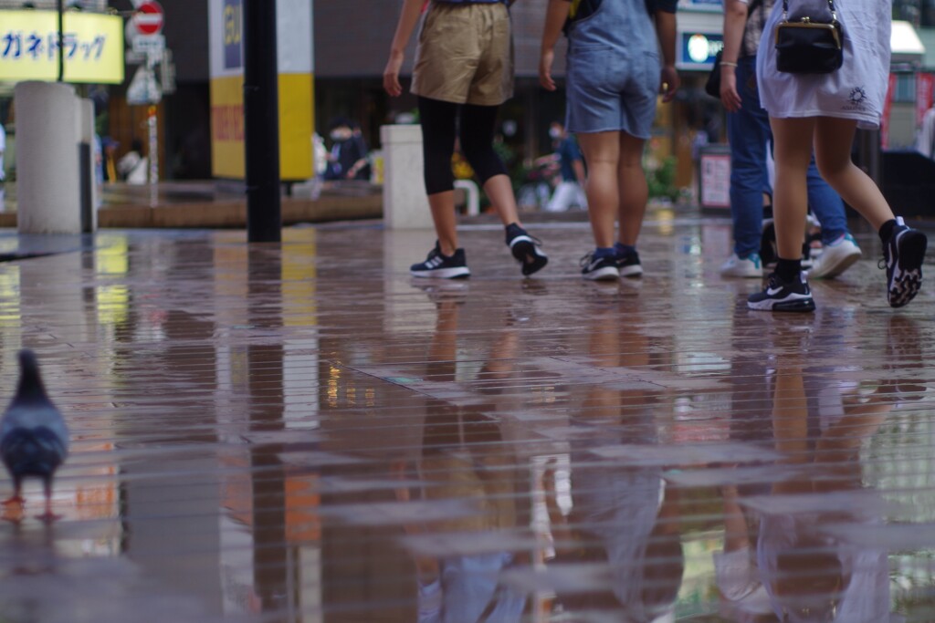 梅雨明けまじか