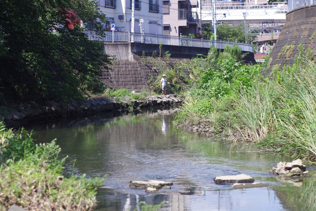 川沿い散歩　釣り人再び