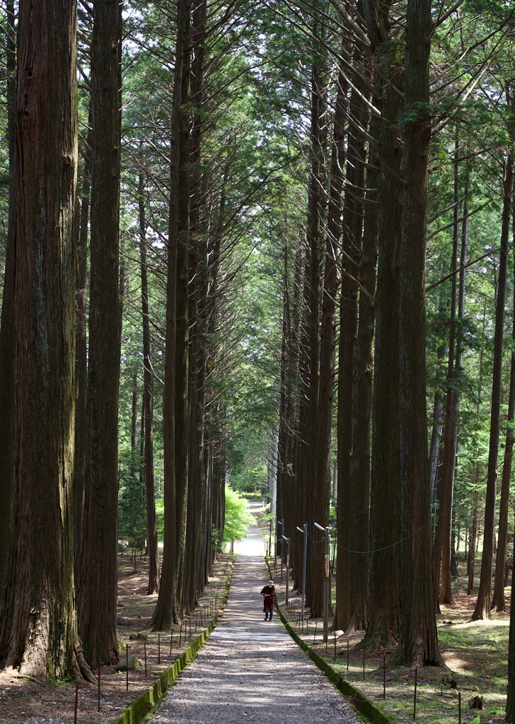 参道