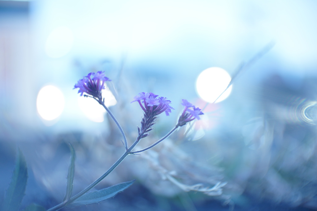 青