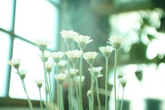 DSC02486