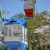 桜の観覧車。