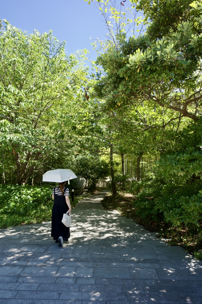 夏の散策路
