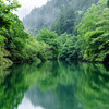 湖に緑。