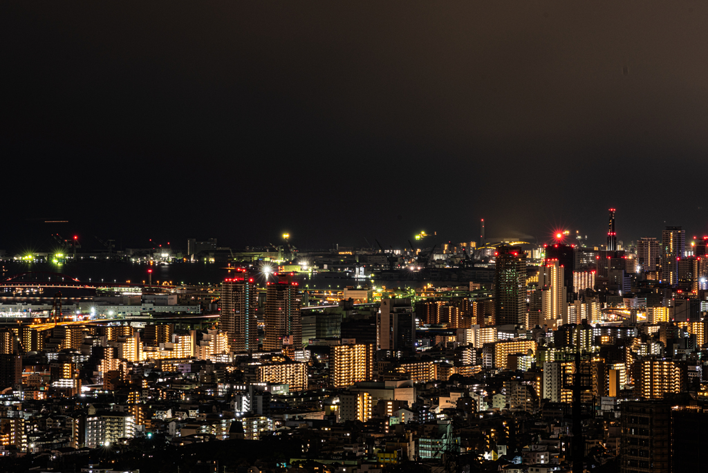 自粛中 神戸夜景。