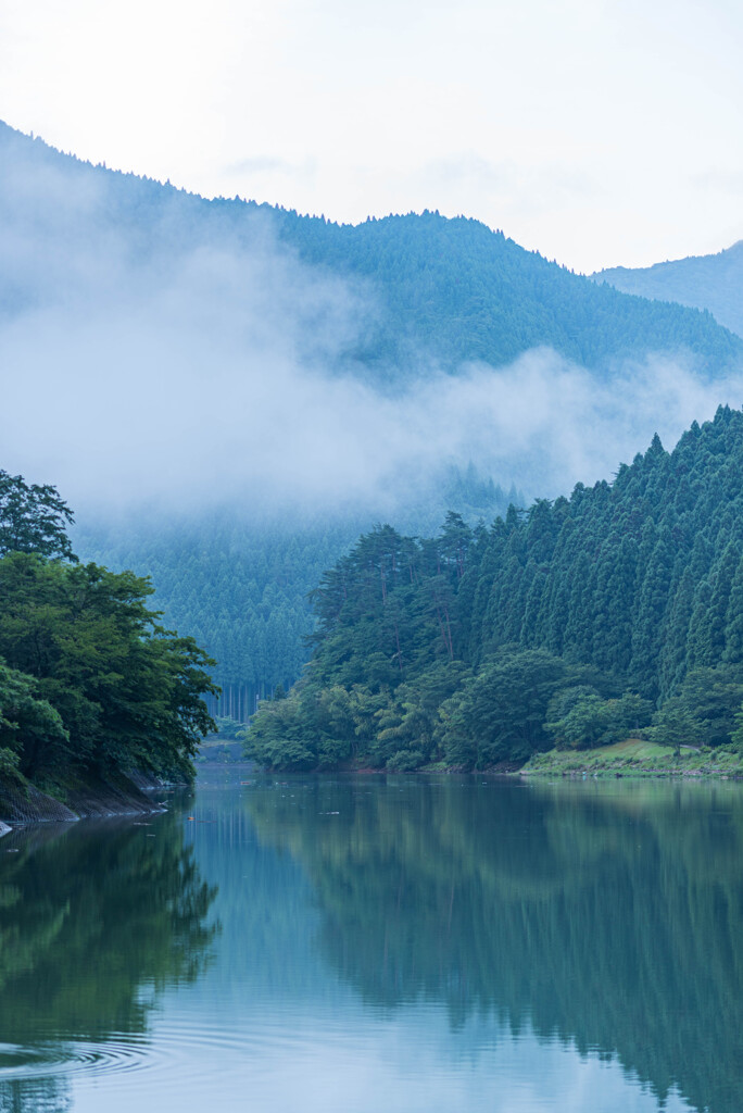 湖畔で迎えた朝。③