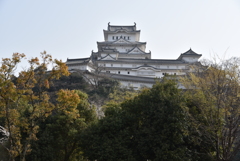 姫路城　北から
