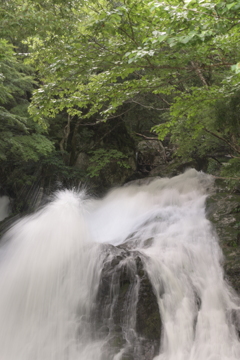 雨上がり・・・③