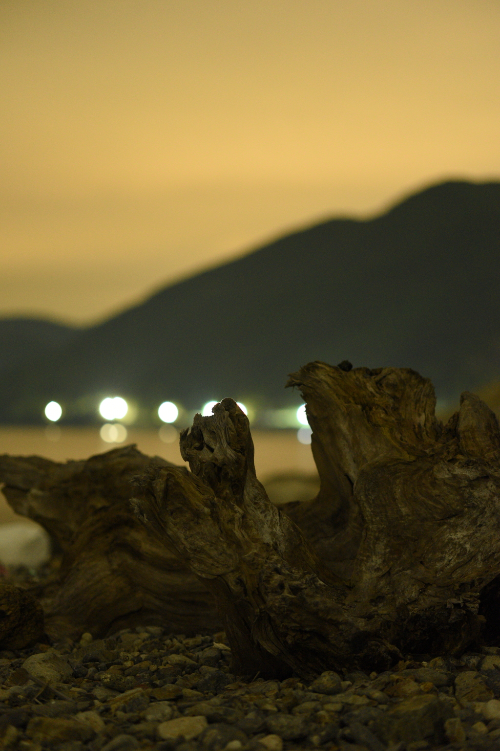 流木と漁港の灯り。