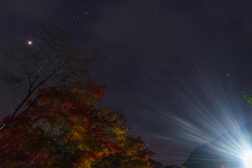 紅葉と星。