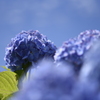 青に蒼。