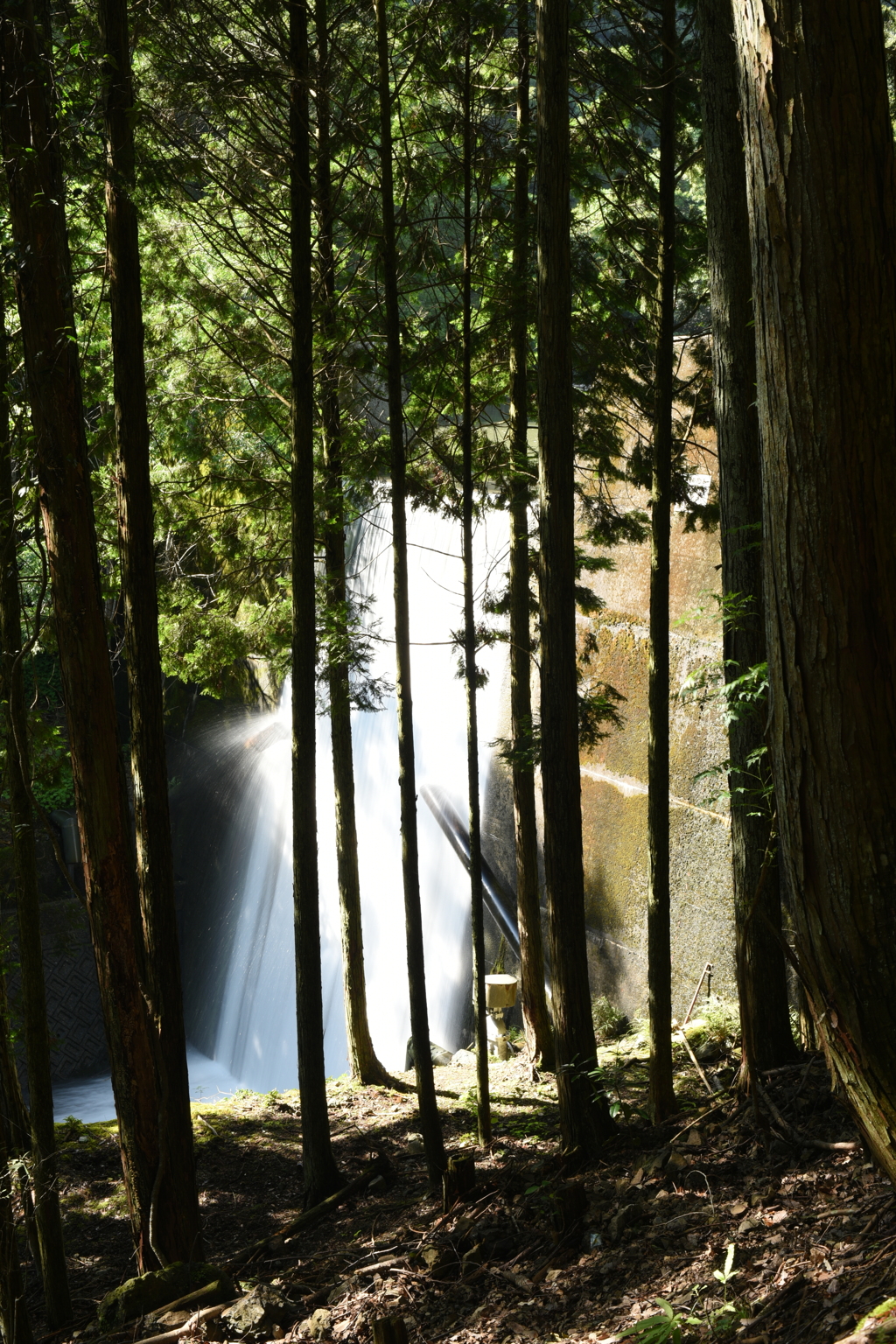 北峯の滝。③