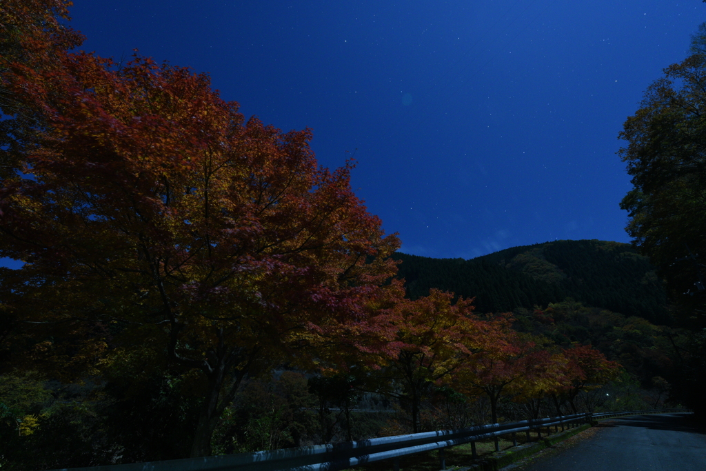 紅葉と満月の灯り。