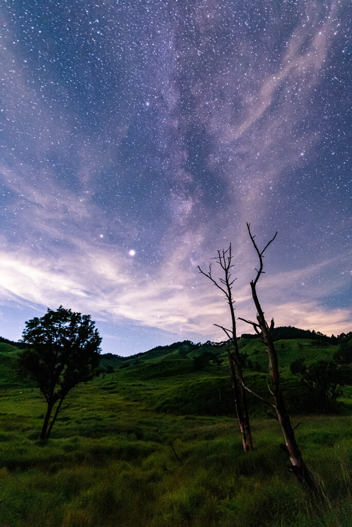 高原と星。