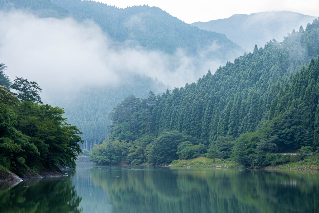 湖畔で迎えた朝。