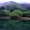 静かな朝。