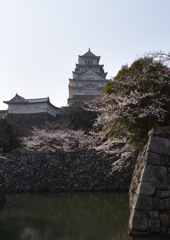 東からの姫路城