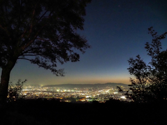 若草山の夜景