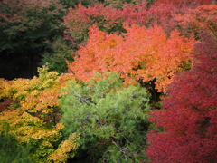 東福寺