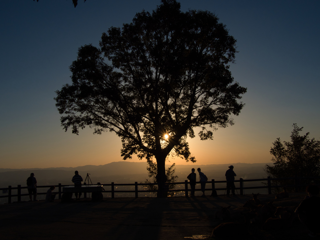 夕の若草山