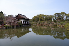 平安神宮　庭園