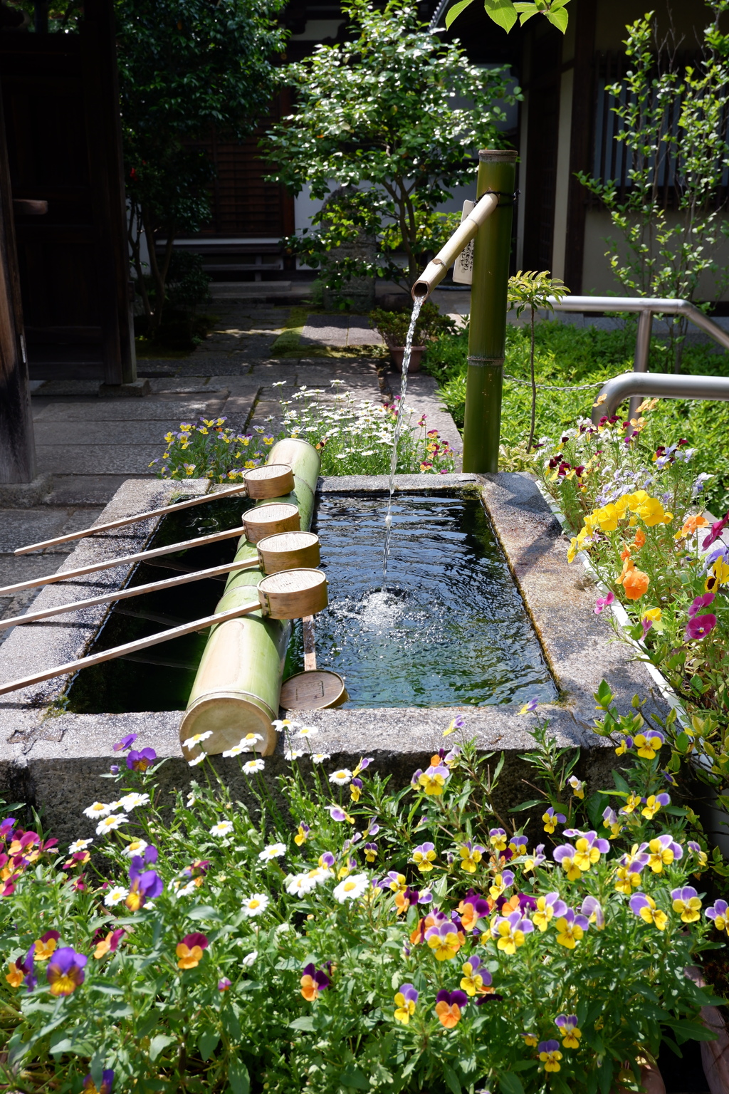 矢田寺