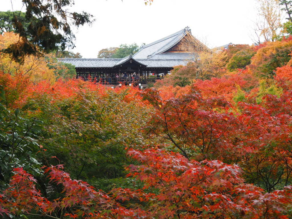 東福寺