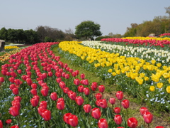 馬見丘陵公園