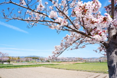 木津川市中央体育館　近辺