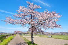 木津川市中央体育館　近辺