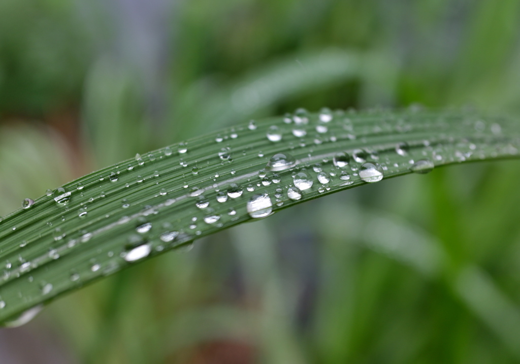 雨の日