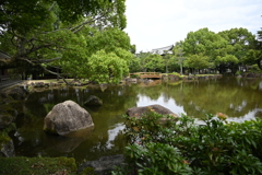 奈良公園　