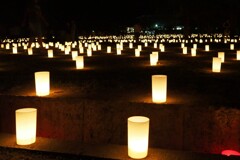 燈花会　奈良公園