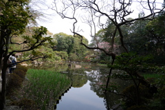 平安神宮　庭園