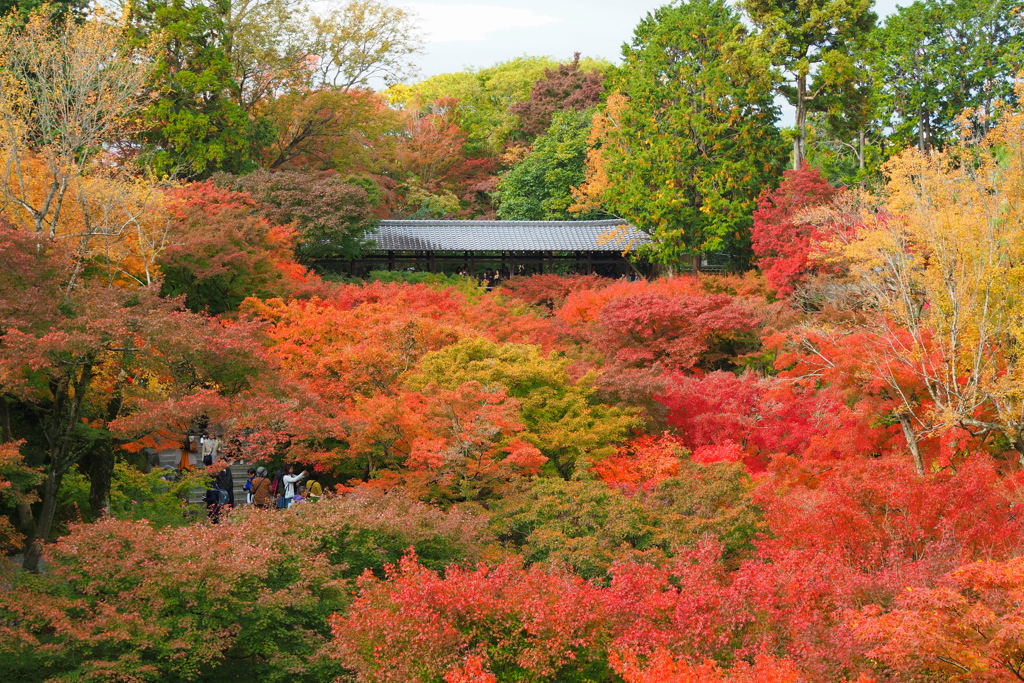 東福寺