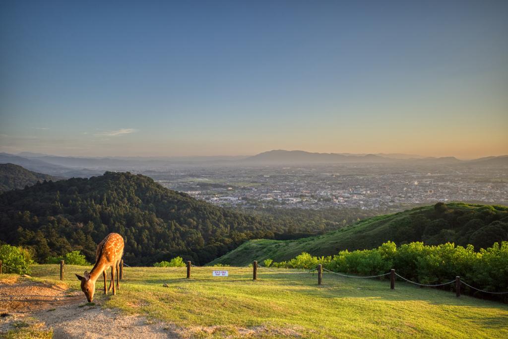 夕の若草山