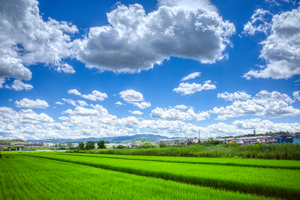 夏空