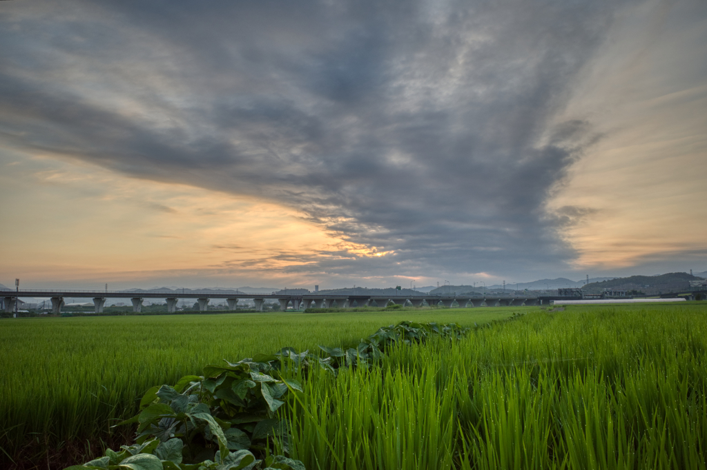 朝の風景