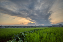 朝の風景