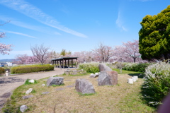 木津川市中央体育館　近辺