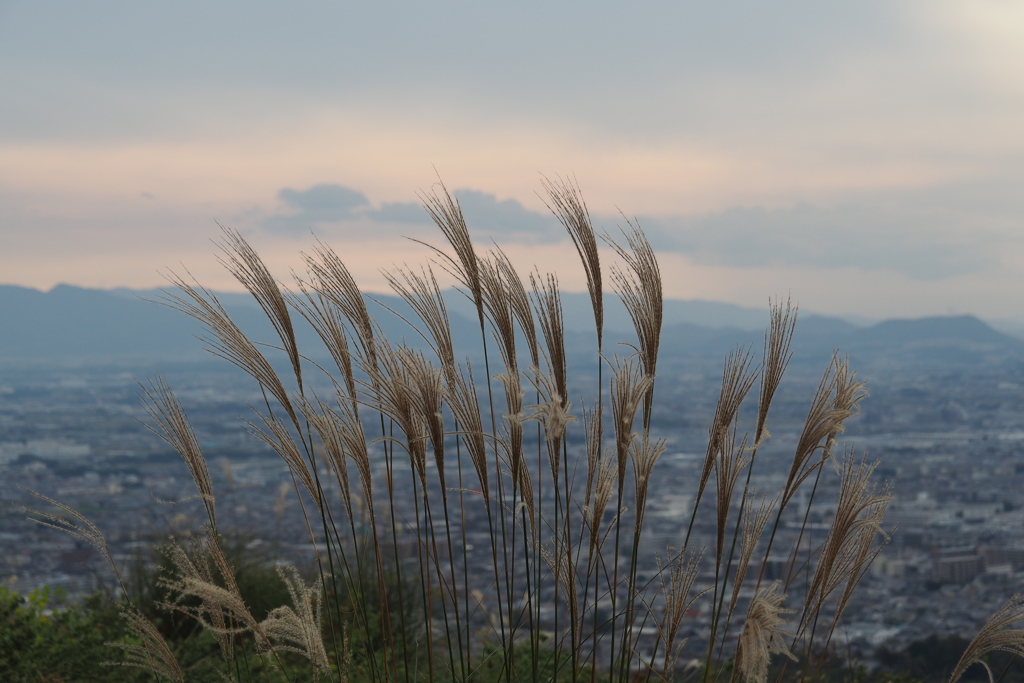 若草山