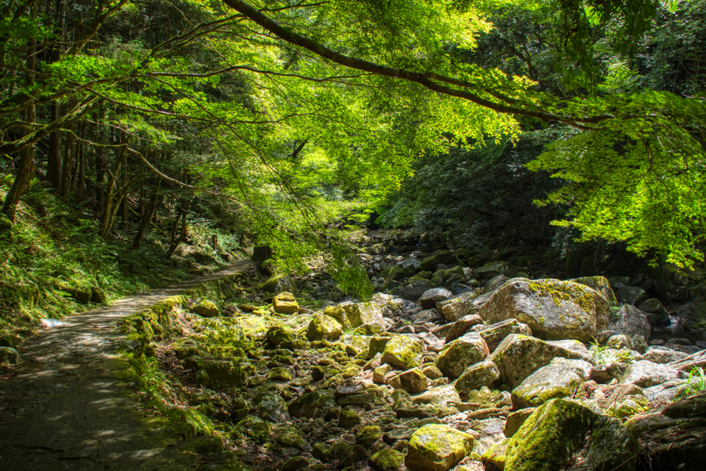 赤目四十八滝