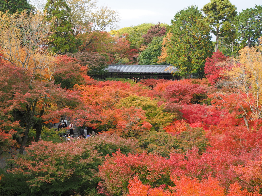 東福寺