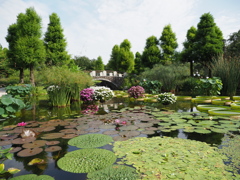 草津市立水生植物公園みずの森