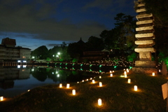 燈花会　奈良公園