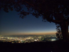 若草山の夜景