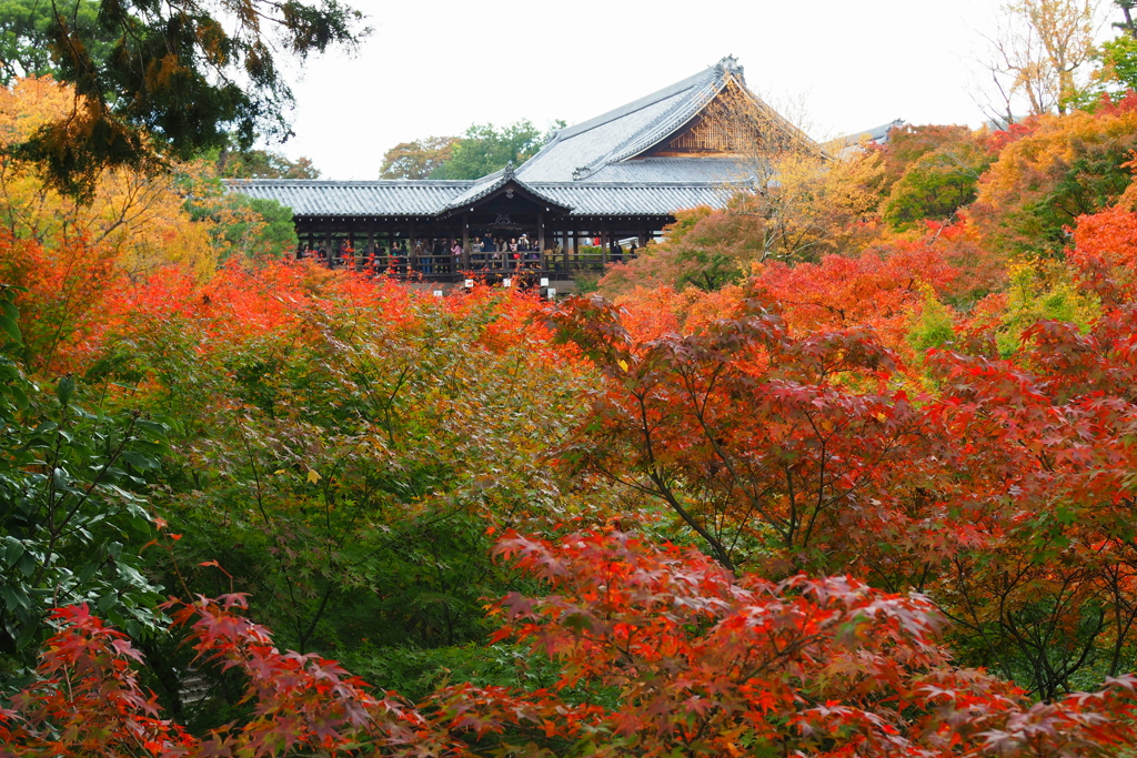 東福寺