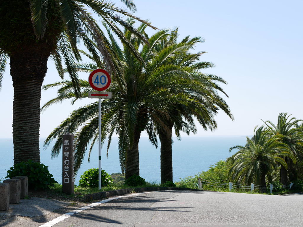 D12D7837-63FF-45BD-AA6B-C04FC898AB49