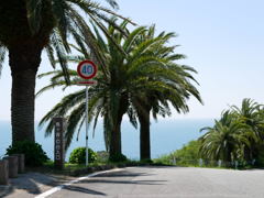 D12D7837-63FF-45BD-AA6B-C04FC898AB49