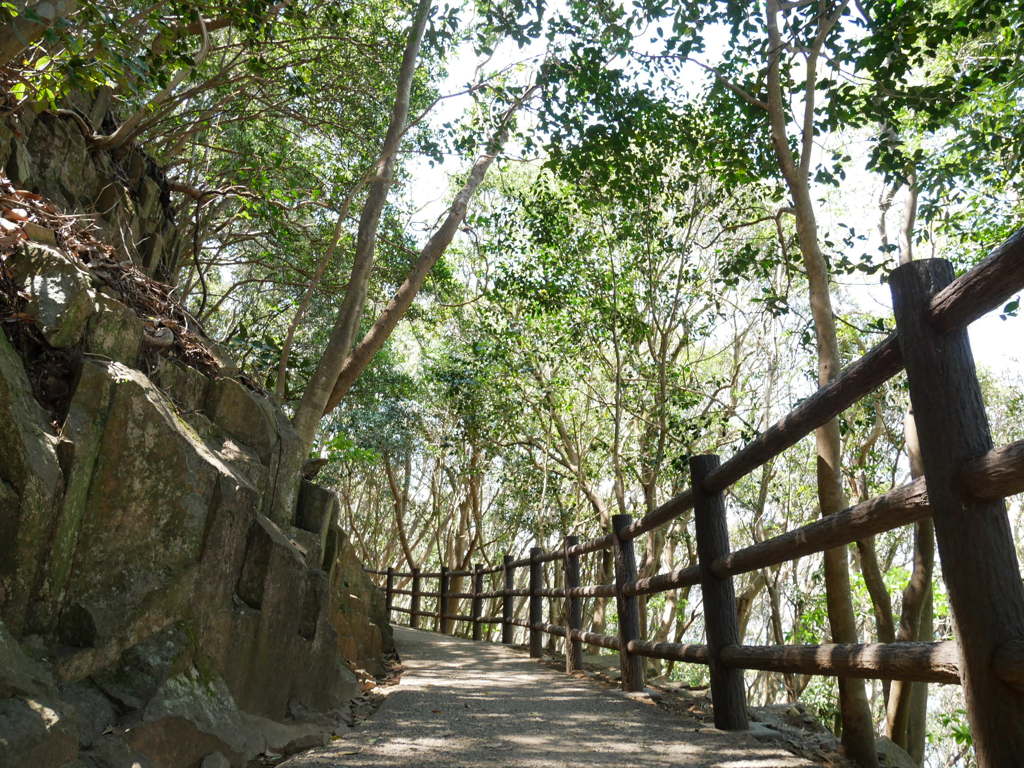 81861017-9443-4450-8548-B264A0A8D40B